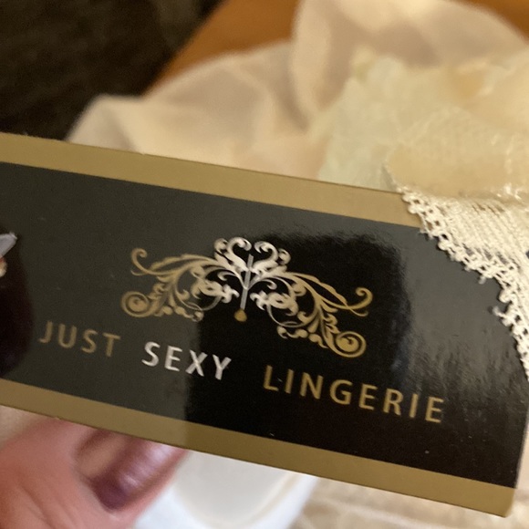 Just Sexy lingerie 3X NWT - Picture 6 of 9